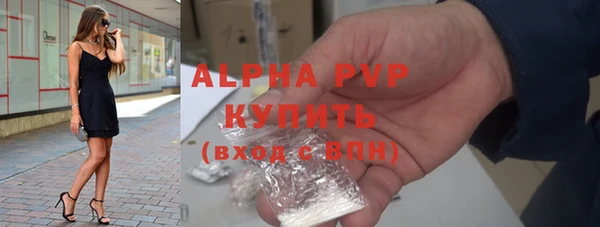 гидра Снежногорск